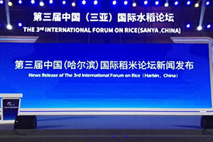 北斗設(shè)計(jì)&amp;第三屆國(guó)際水稻博覽會(huì)·三亞