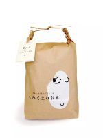 如何處理包裝設(shè)計(jì)中局部和整體的關(guān)系?